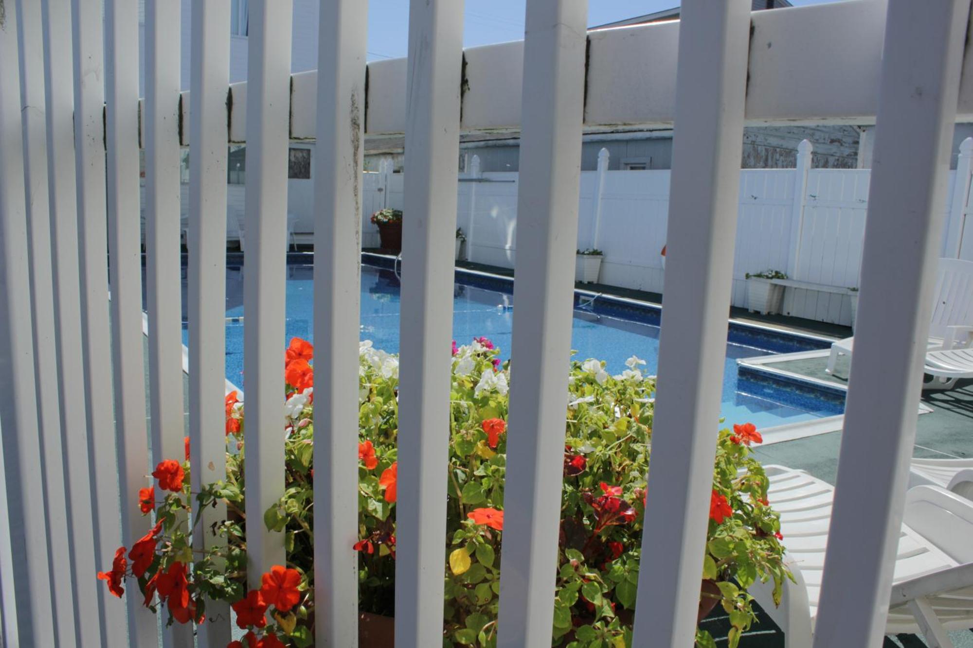 Flagship Motorcourt Motel Hampton Luaran gambar